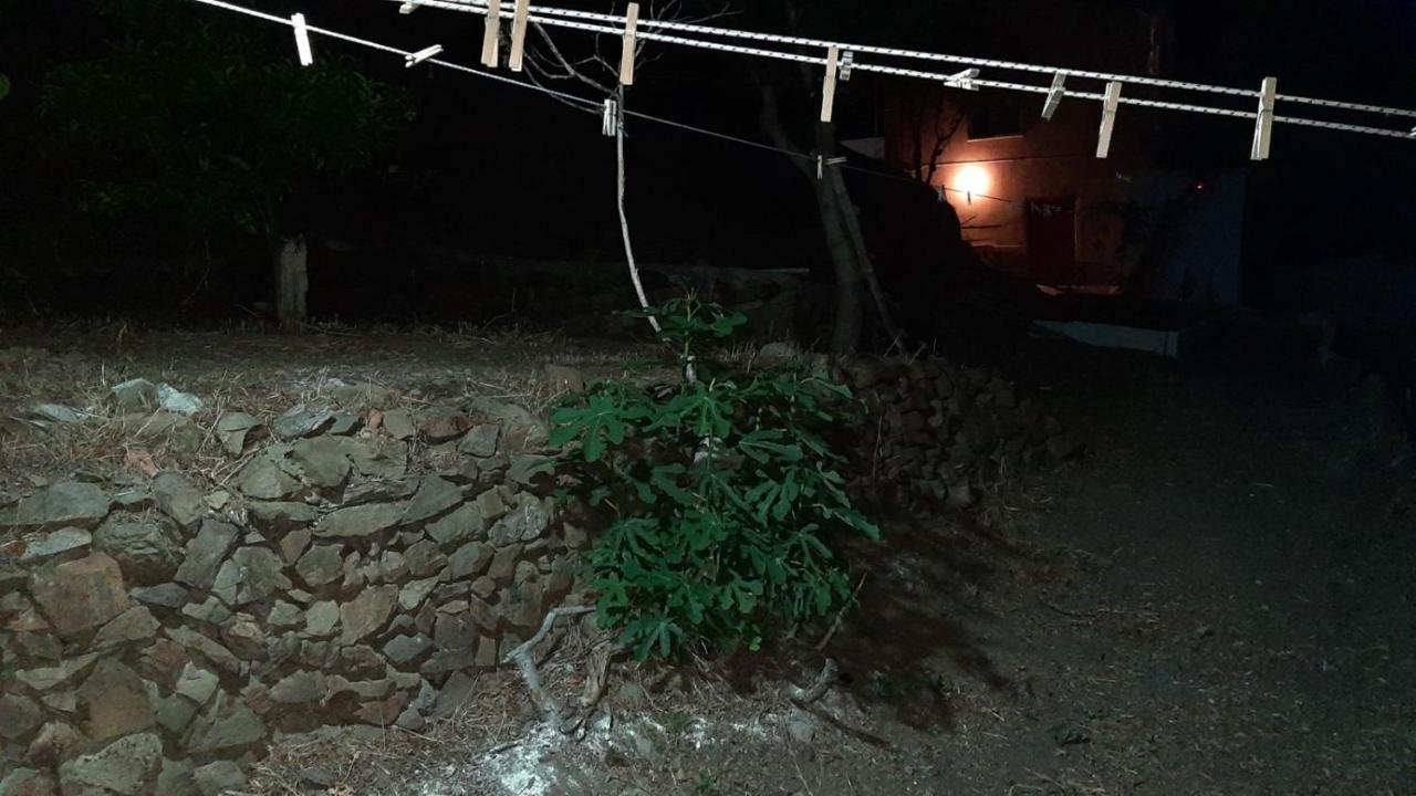 Villa Kotetsi - Rooms To Let - Volissos - Chios 外观 照片